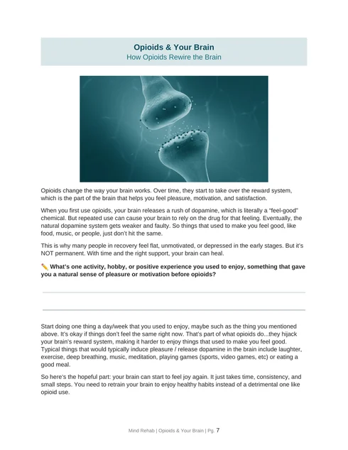 Workbook page titled How Opioids Rewire the Brain, with a full-color image of a brain synapse and a writing prompt.